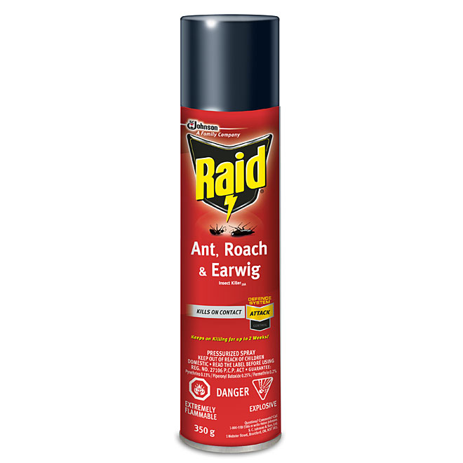 Raid(R) Killer Spray for Ant, Roach, Earwig and Crawling Insects - 350 g