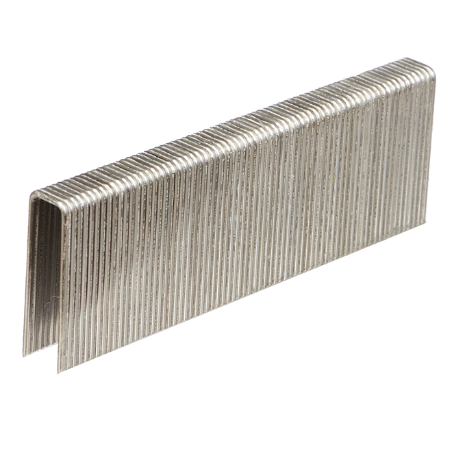 T50 1/2 in. Stainless-Steel Staples (1,000-Pack)