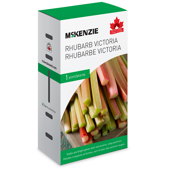 Canada Red Rhubarb • Kiwi Nurseries Ltd