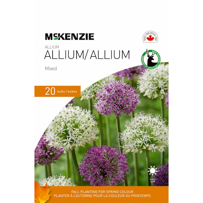 M Lange De Bulbes D Alliums Mckenzie Cm Paquet De