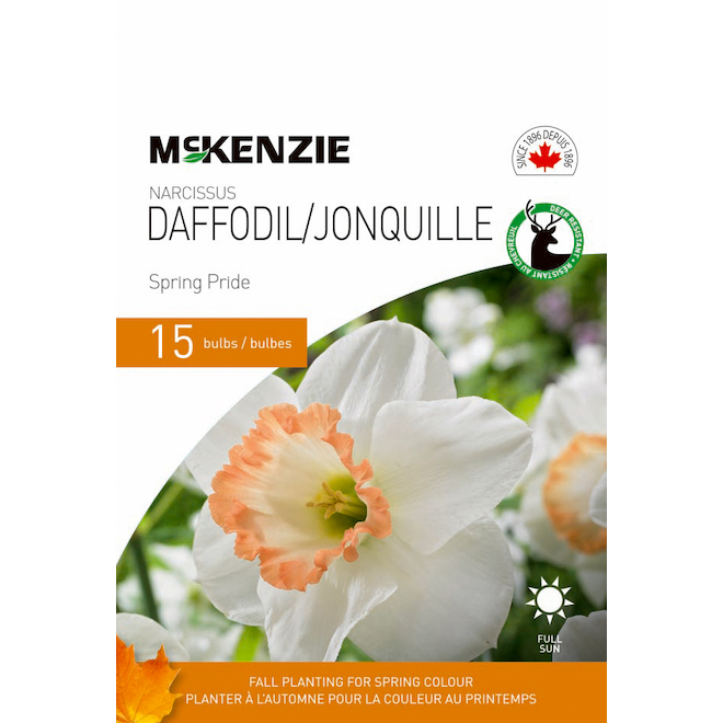 Bulbes De Jonquilles Spring Pride De Mckenzie Cm Paquet De