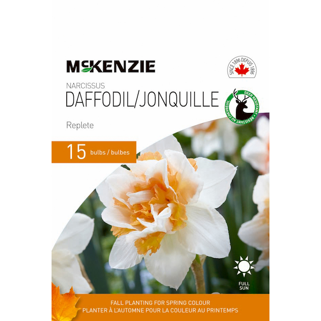 MCKENZIE Narcissus Bulbs Daffodil Replete Yellow 18 in Pack of