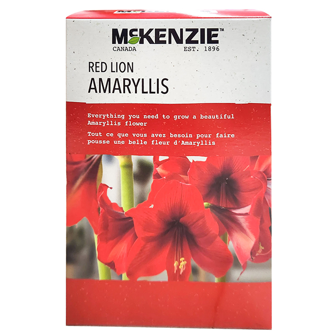 View Amaryllis Red Lion Indoor Growing Kit Home Depot Collection