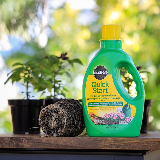 Miracle-Gro Quick Start Planting and Transplant Plant Liquid Fertilizer ...