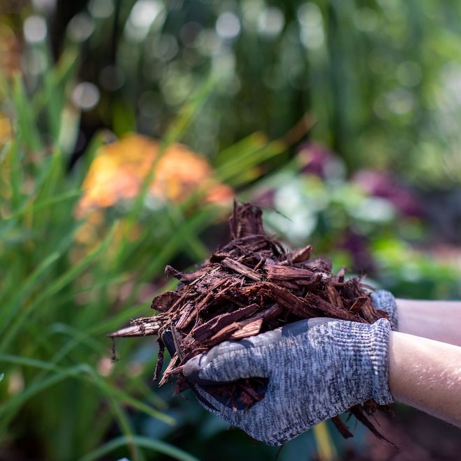 Scotts Nature Scapes Deep Forest Brown Mulch 42.5L 88659750 RénoDépôt