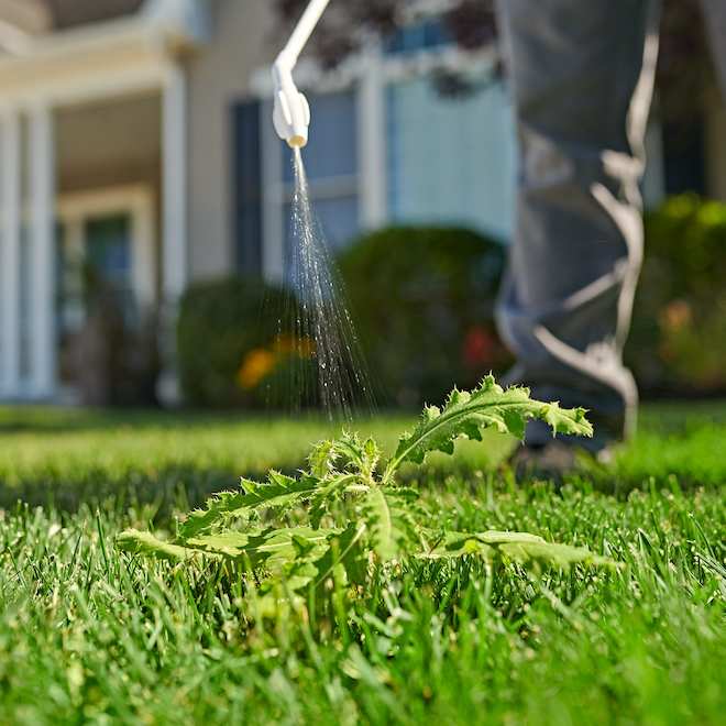 Ortho Killex Liquid Weed Control with Application Wand 4 L 4661905