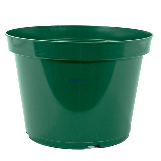 Vaserie PLP Plastic Planter - 4-in - Green G-04 | Réno-Dépôt