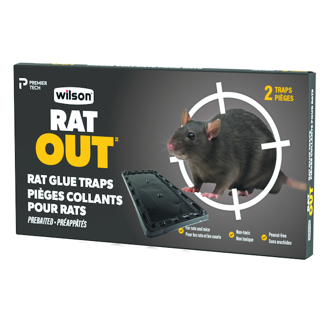 Piege a rat englué - Paquet de 2 pièges