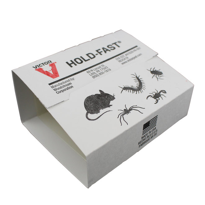 Victor Glue Boards for Mice & Insects - Pack of 2 M180FR | Réno-Dépôt