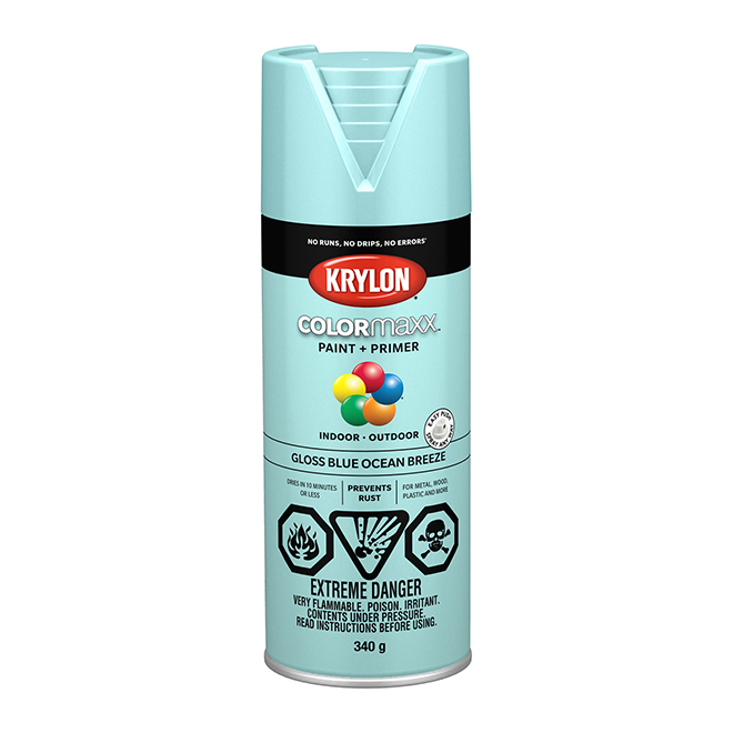 Krylon Colormaxx Paint and Primer in One Aerosol Spray Paint Acrylic