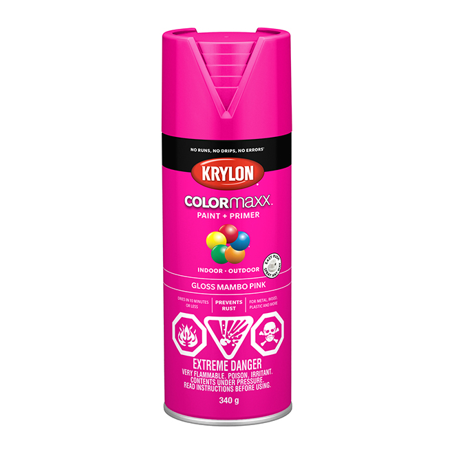 Krylon Colormaxx Acrylic Paint and Primer in One Aerosol Spray Gloss
