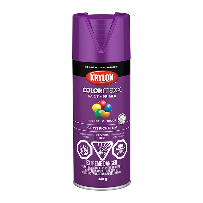 Krylon Colormaxx Acrylic Paint and Primer in One Aerosol Spray Gloss
