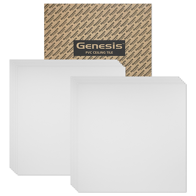 Tuiles de plafond Smooth Pro de Genesis, 2 po x 2 po, blanches, boîte de 12