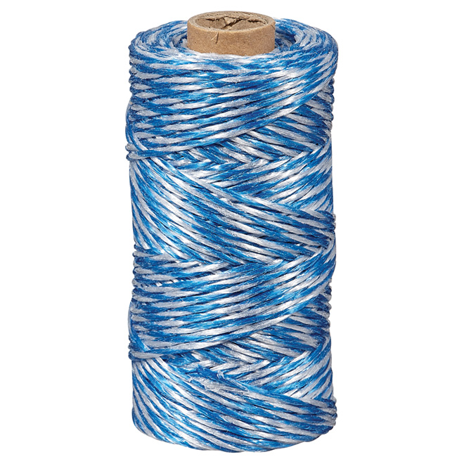 Ben-Mor Twisted Polypropylene Twine - Medium - Blue and White - 500-ft L  60640-PRE