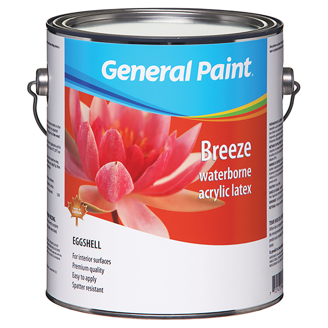 GENERAL PAINT Eggshell Finish Interior Latex Paint GE0055110-16 | Réno