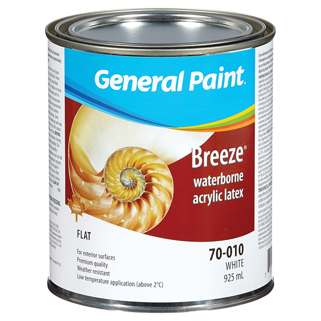 GENERAL PAINT Premium Exterior Latex Paint GE007001014 RénoDépôt