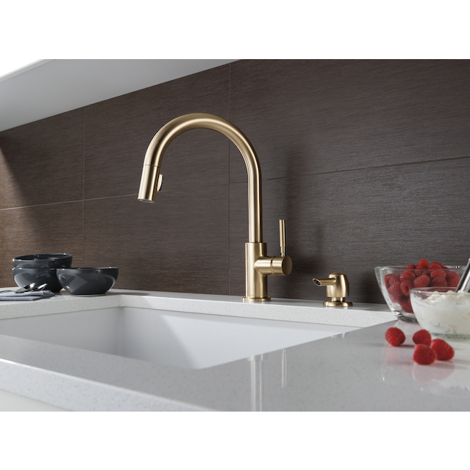 Delta Trask Single Handle Pull Down Champagne Bronze Kitchen