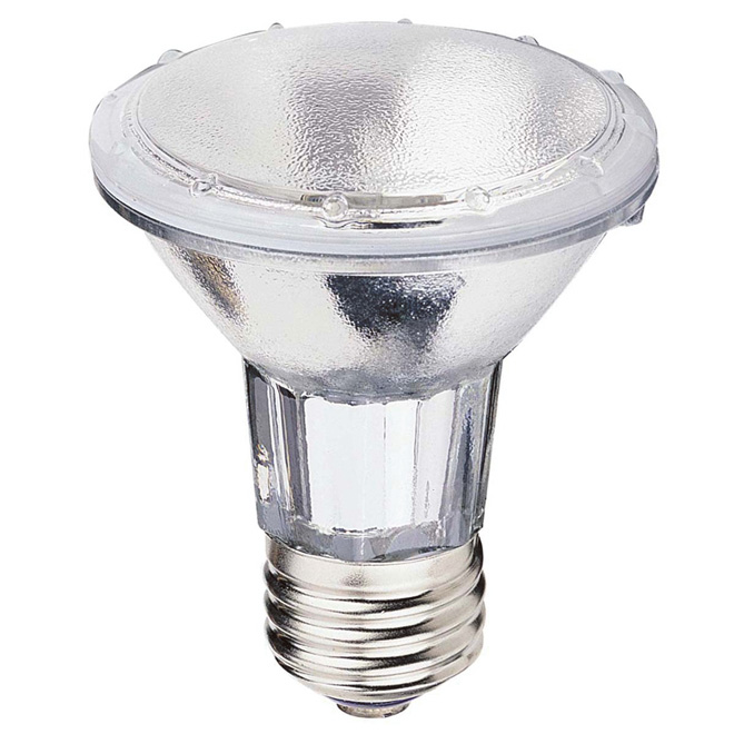 Euromex Remplacement de l'ampoule halogène 6 Volts 10 watts, H-trépied