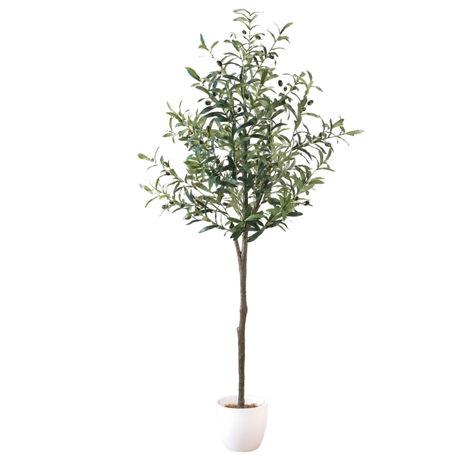 67-in Green Artificial Olive Tree with 595 Leaves and 42 Olive Fruits - White Pot