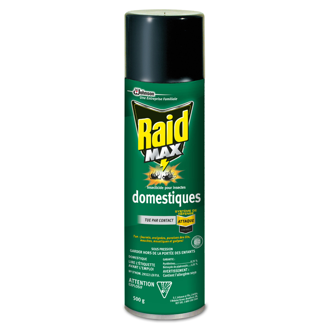 Insecticide en aérosol pour insectes rampants domestique Raid Max, 500 g