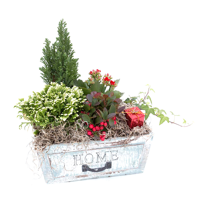 Natural Floral Holiday Arrangement Decorative Planter Assorted