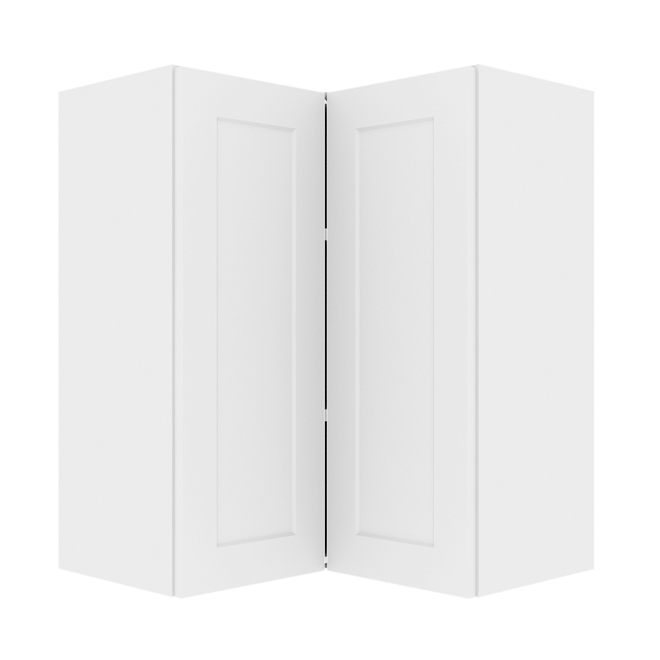 Ebsu Eklipse 2 Doors 2 Shelves Wall Corner Cabinet - Polymer - 24-in x 30-in - Perle