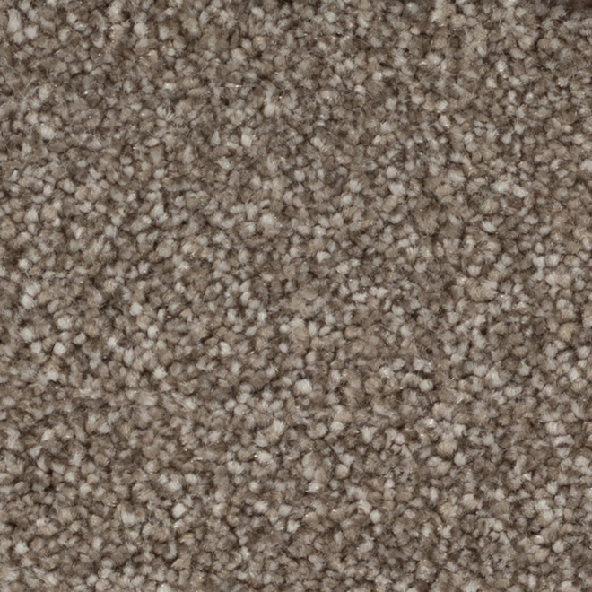 Stainmaster carpet sale