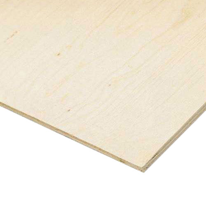 Spruce Plywood - Exterior - 1/2-in x 2-ft x 4-ft