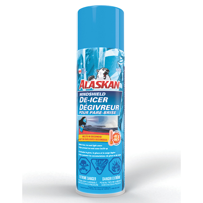 Rain X Windshield De-Icer Spray With Quick Melting Action, 15 oz by GOSO  Direct