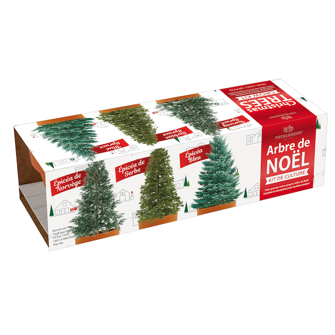 TotalGreen Christmas Tree Grow Kit, 3 Spruces Varieties TRI832UNIT