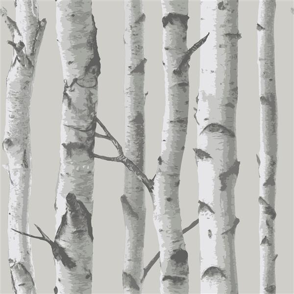NuWallpaper Sticker Wallpaper - Mountain Birch - 20.5-in x 216-in - Gray