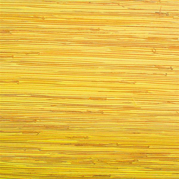 Walls Republic Boodle Yellow Grasscloth Wallpaper R2014 | Réno-Dépôt