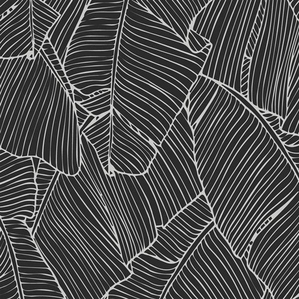 Walls Republic Black White Leaf Outline Abstract Wallpaper R4693