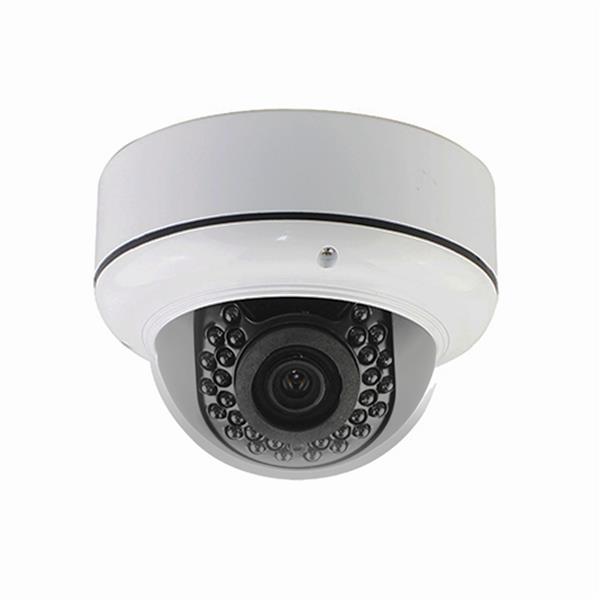 SEQCAM Caméra de sécurité anti-vandalisme à dôme SEQ10110