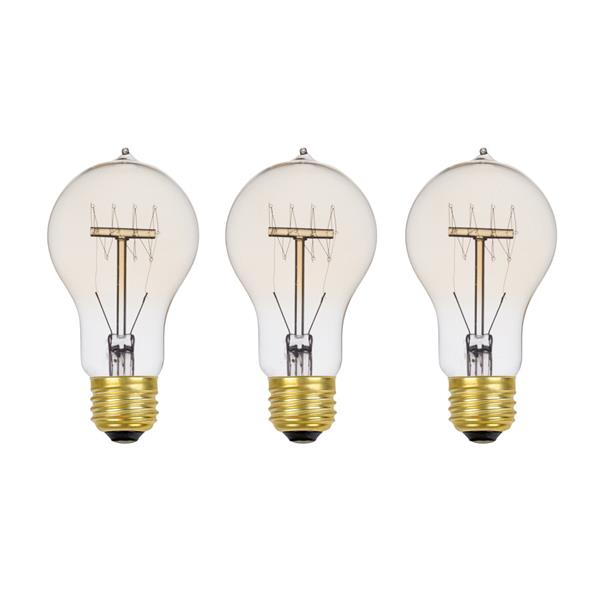 Globe Electric Edison Incandescent Light Bulb - 60 W - Pack of 3