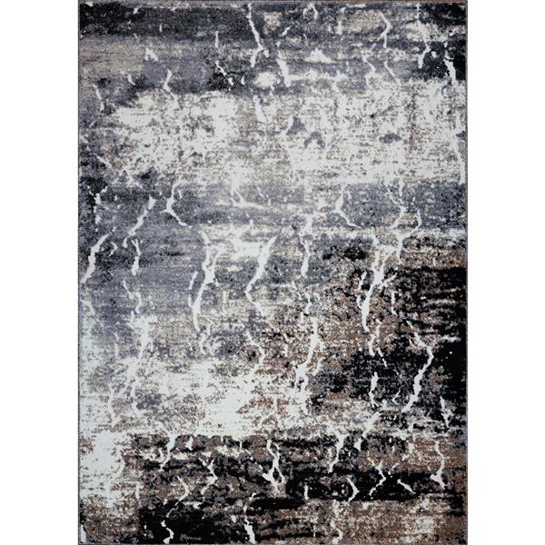 Tapis abstrait contemporain «Coronado», 4' x 6', gris/beige