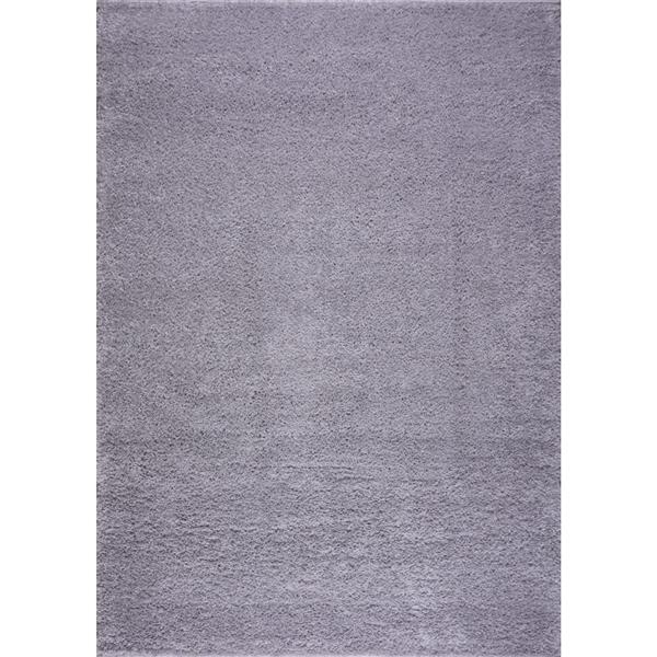 Tapis Meknes, 6,4' x 9,4', polypropylène, gris pâle
