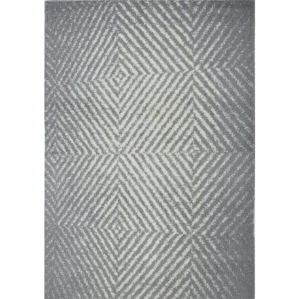 Tapis abstrait Whistler, 3,9' x 5,6', microfibre, gris
