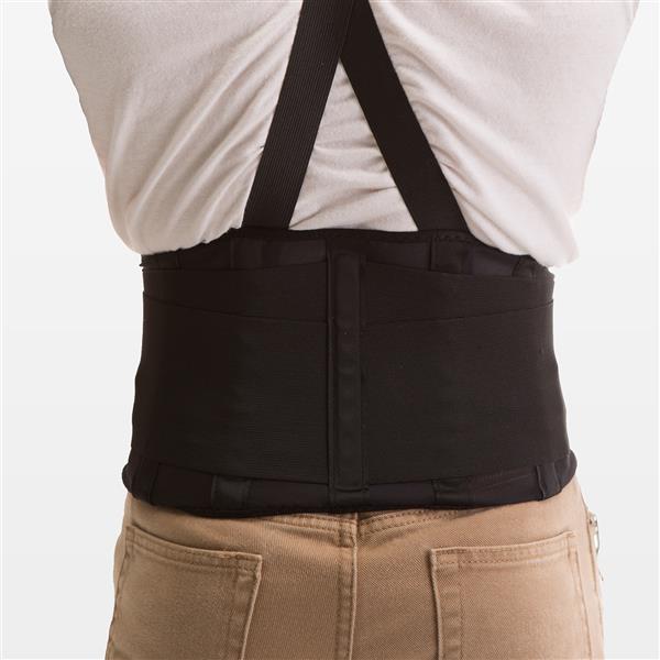 Back Support Belt, Large