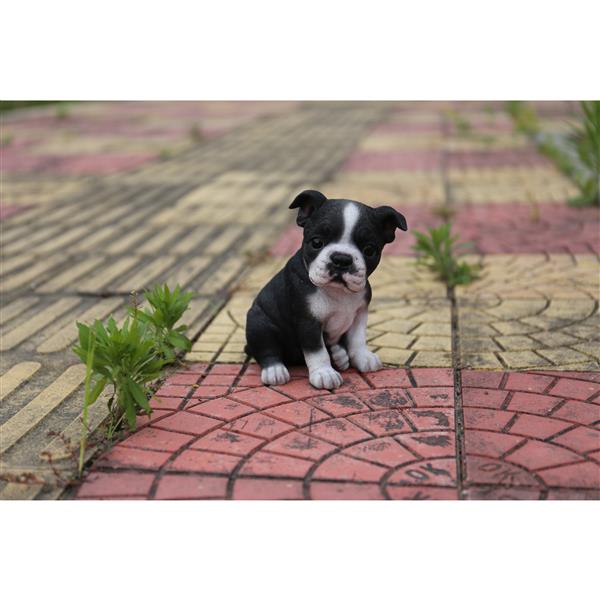 Statue de jardin, chiot boston terrier, 6,5"