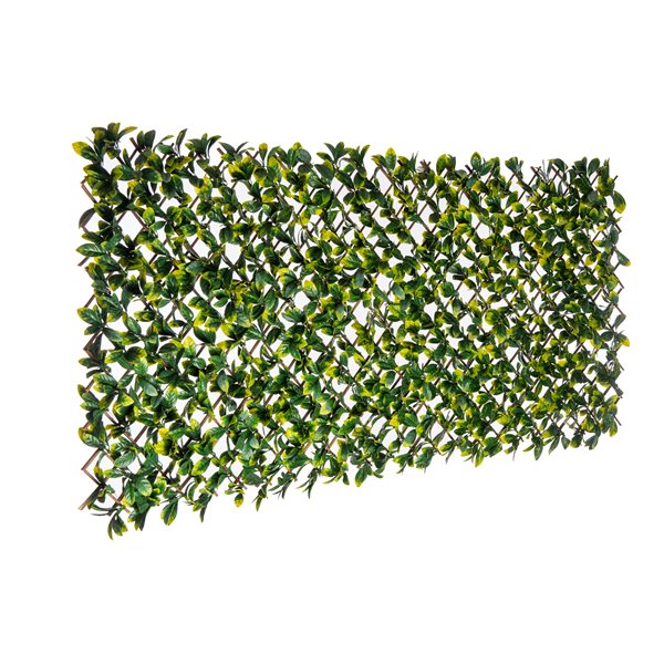 Treillis de saule extensible avec feuilles de Laurier Naturae Décor, 40 po x 80 po, vert