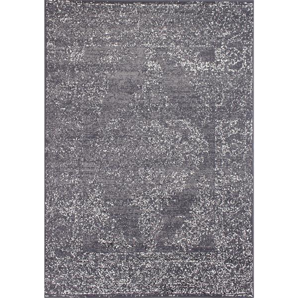 Novelle Home Fiona Rug - Finesse Traditional Pattern - 5.25-ft x 7.3-ft - Grey