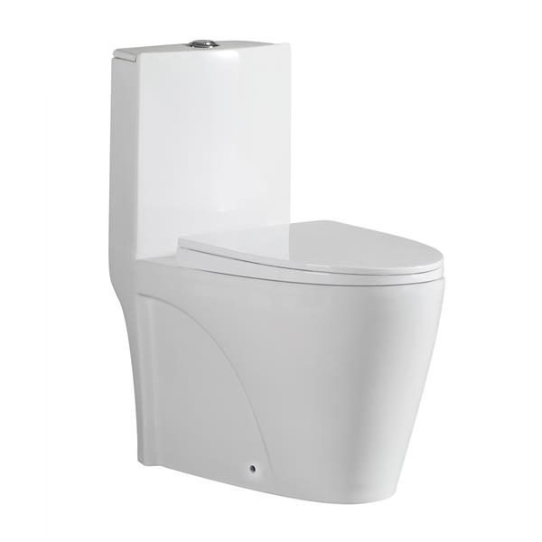 1 piece toilet