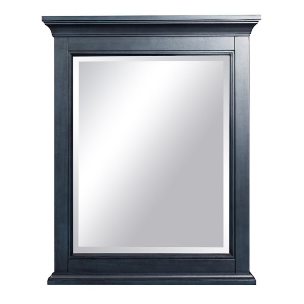 Miroir Brantley de Foremost, 32 po x 26 po, bleu