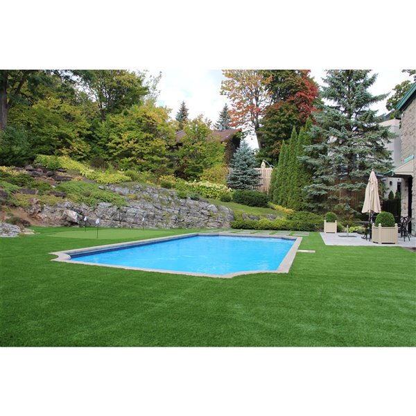 Gazon synthétique Cruz de Trylawnturf 20 x 6 pi vert CZ620