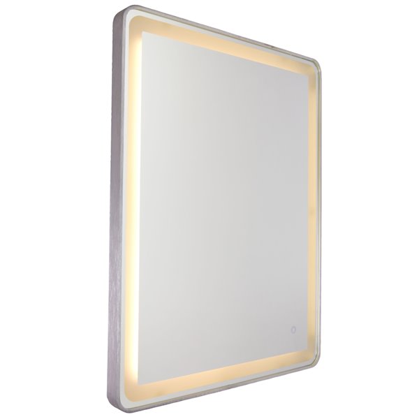 Miroir à éclairage DEL Reflections AM301 d'Artcraft Lighting, 24 po x 32 po, aluminium brossé