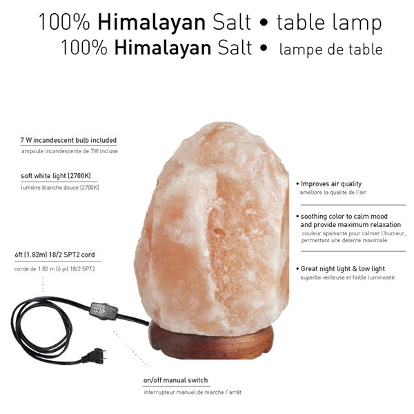 Lampe en sel rose de l'Himalaya de Globe Electric avec base en