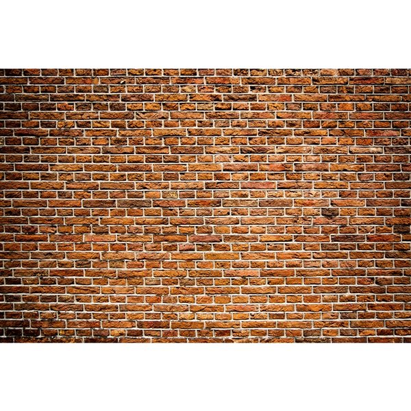 Dimex Old Brick Wall Mural - 12-ft 3-in x 8-ft 2-in
