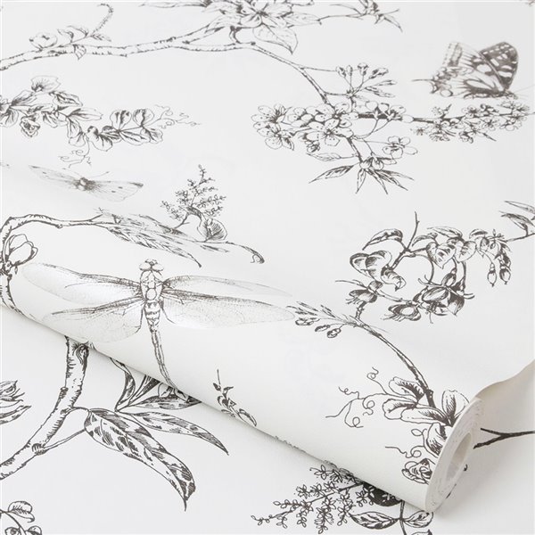Graphite - TTCD1812-GRY - Buttercup Floral Sketch - Grey - Timeless  Treasures