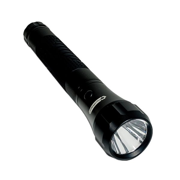 GoGreen Power 200-Lumen LED Flashlight